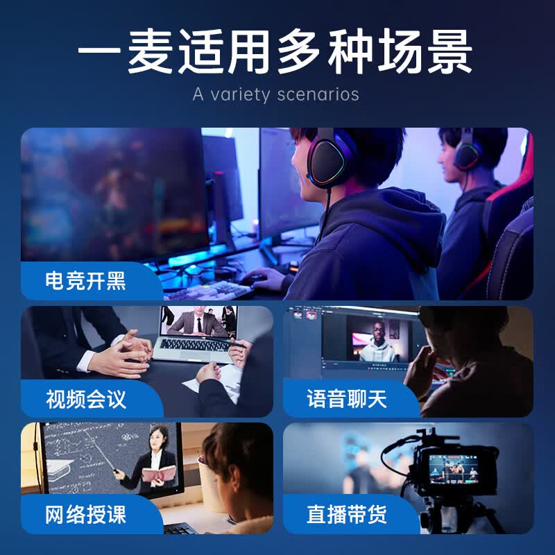 惠普（HP）直播麦克风设备游戏电竞主播专用k歌电脑声卡降噪有线话筒 品质版