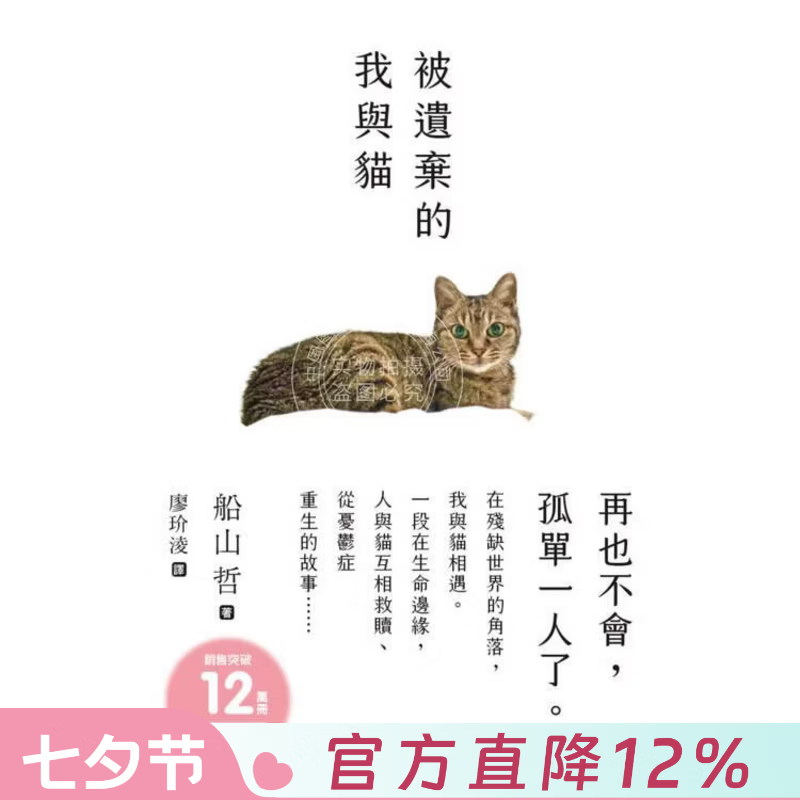 现货 港台原版 被遗弃的我与猫 船山哲 枫书坊出版