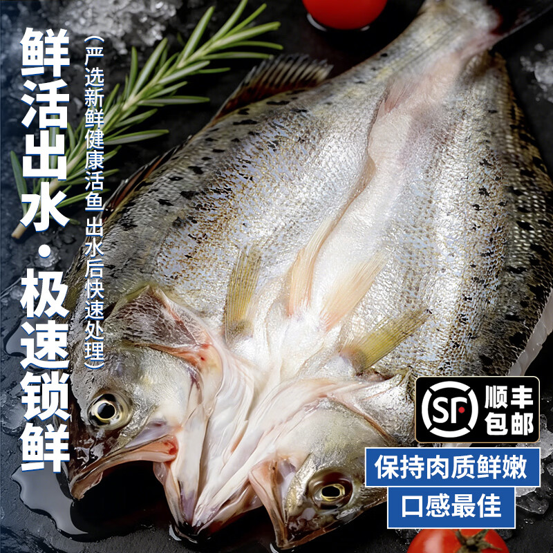 潮夫道开背海鲈鱼 三去免处理无抗生素刺少肉厚海捕海鲜水产鱼类生鲜 中号海鲈鱼4条装(400-500g/条)