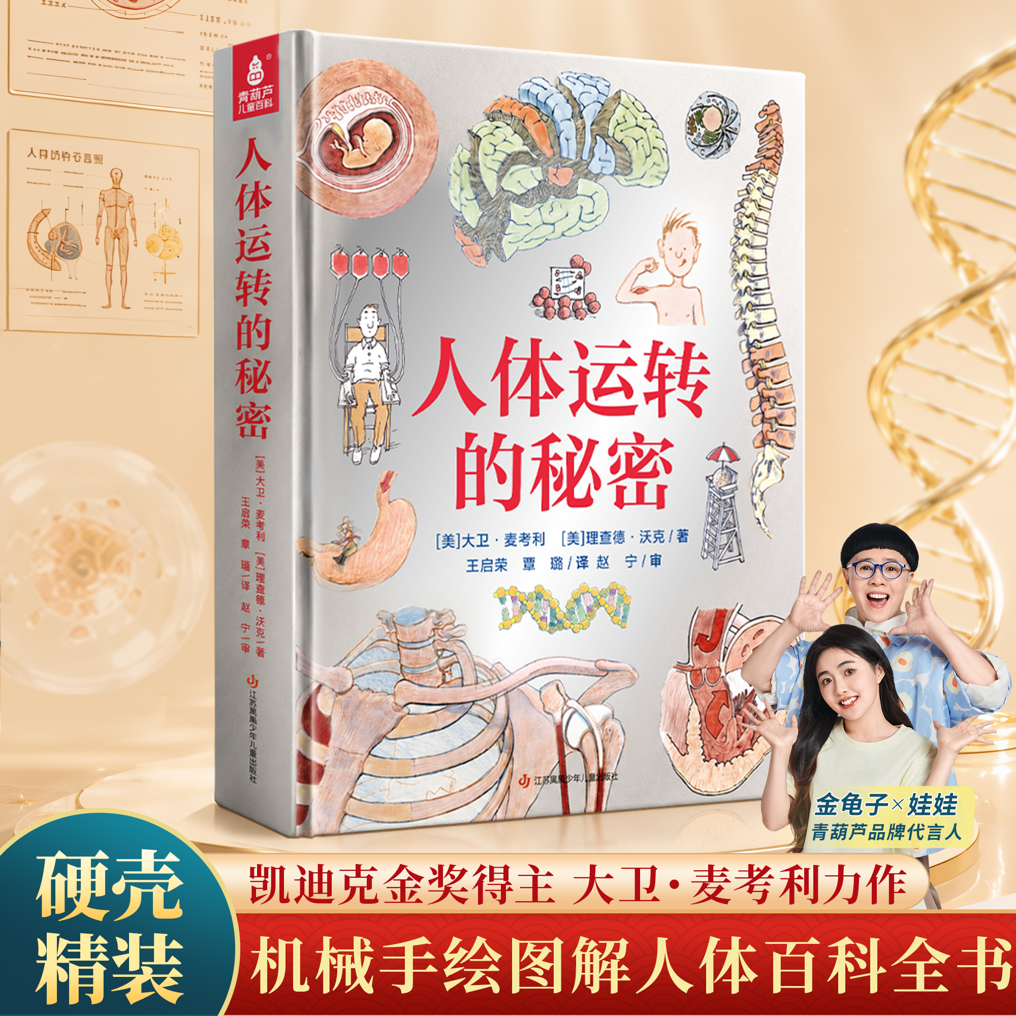 青葫芦 人体运转的秘密 少年儿童百科全书家庭医生健康营养书籍dk我们的身体的神秘肌肉器官医学免疫系统图解知识科普书课外阅读书 十万个为什么 中小学生版一二三四五六年级书籍7-12岁中国少儿科学启蒙 人