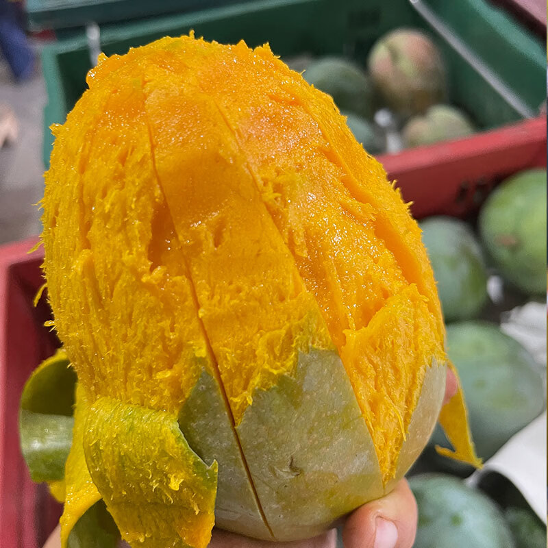 凯特芒果礼盒8斤整箱顺丰包邮应季新鲜采摘四川攀枝花大芒果 8斤礼盒装约5-8个