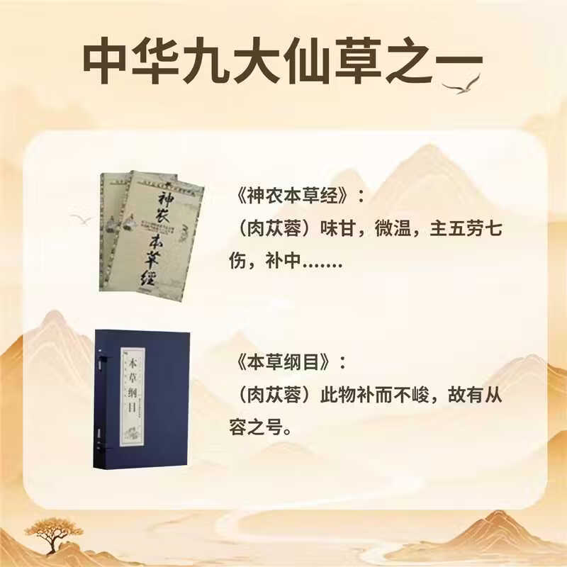 益从容阿拉善荒漠肉苁蓉原浆特级正品仿野生中药材男人茶口服液黄精搭档 30ml*6瓶 /每盒*10盒赠七盒 到手17盒