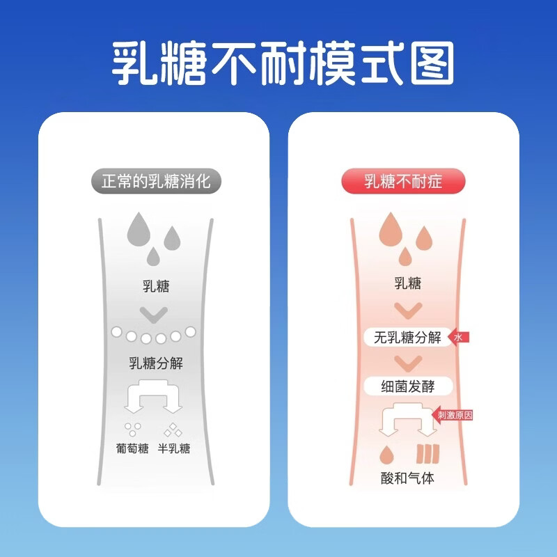 wellborn威尔邦进口乳糖酶液态浓浆滴剂