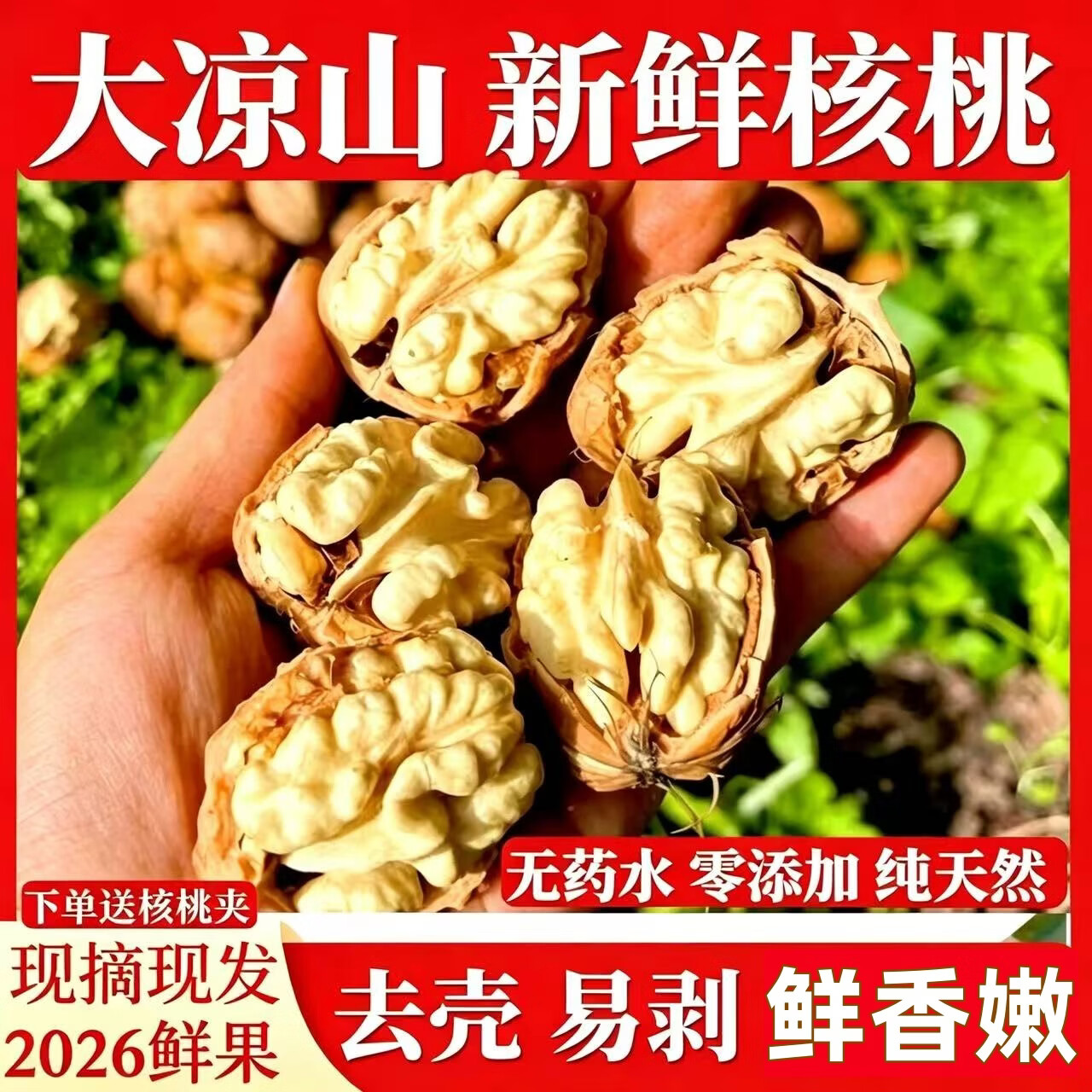 朵芮蜜2026大凉山去青皮新鲜湿核桃薄壳孕妇零食非纸皮核桃应季补脑鲜果 优选中大果净重3斤送夹子顺丰快递