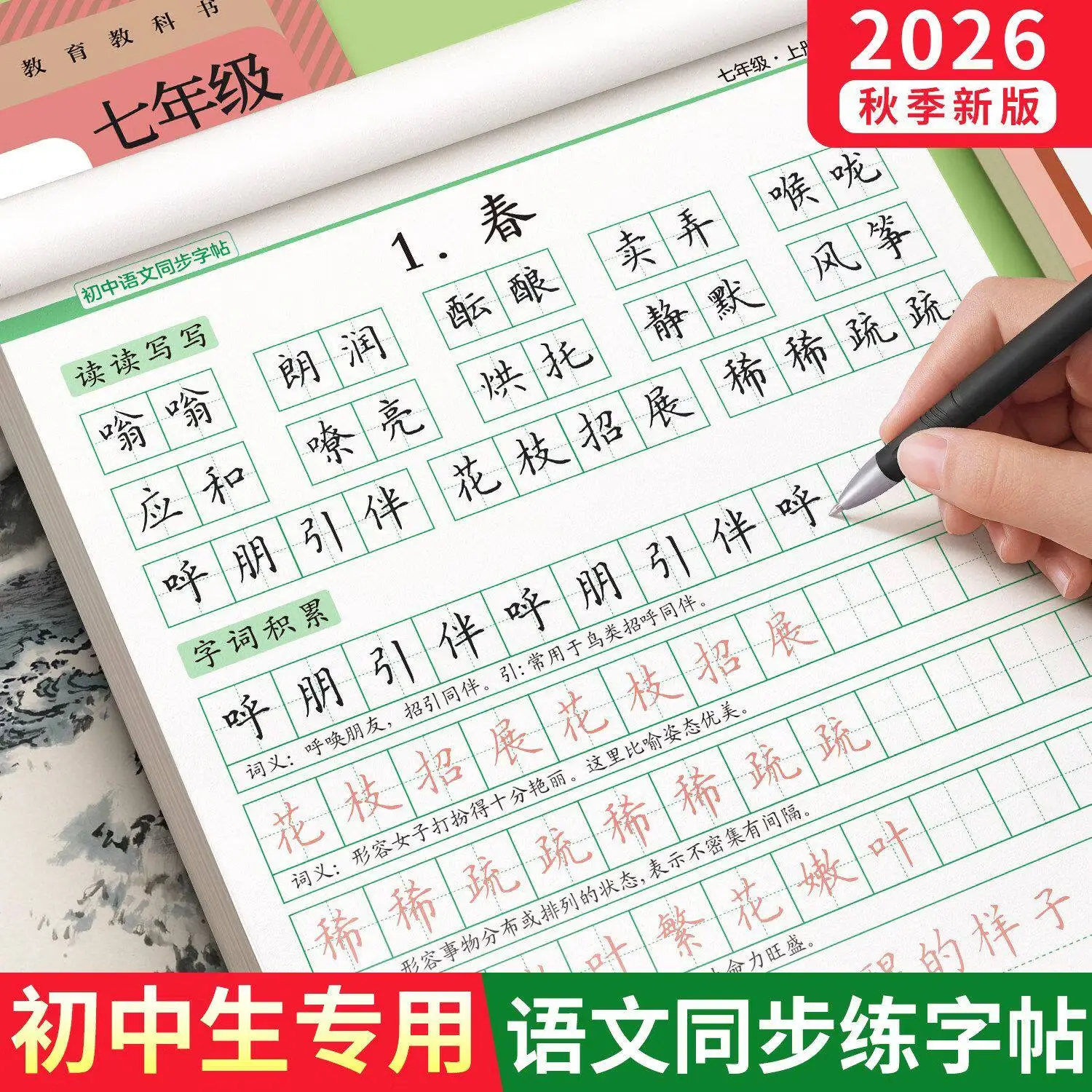 金枝叶七年级八年级同步练字帖上册下册初中生语文字帖人教版小升初每日一练初一初二楷书正楷描红练字本 七年级上册同步字帖