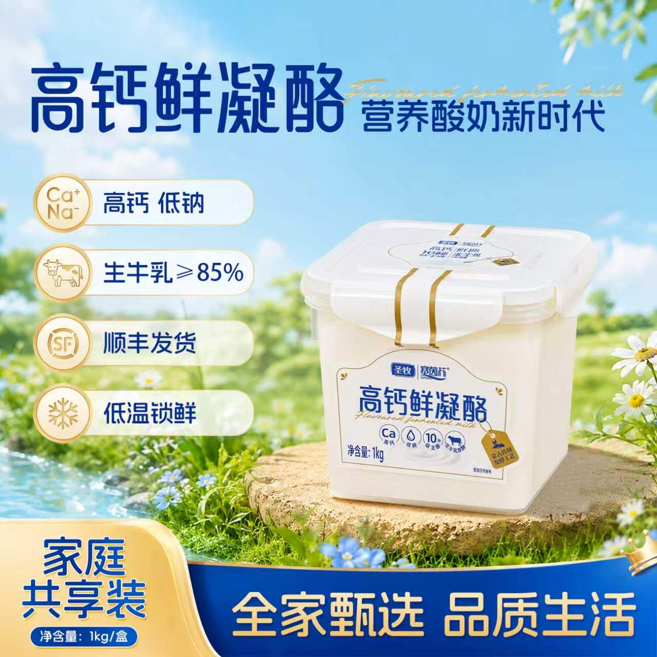 初酪高钙鲜凝酪1kg塞茵苏桶装酸奶家庭装高钙低钠生牛乳发酵代餐酸奶 高钙鲜凝酪1KG*2【家庭装】