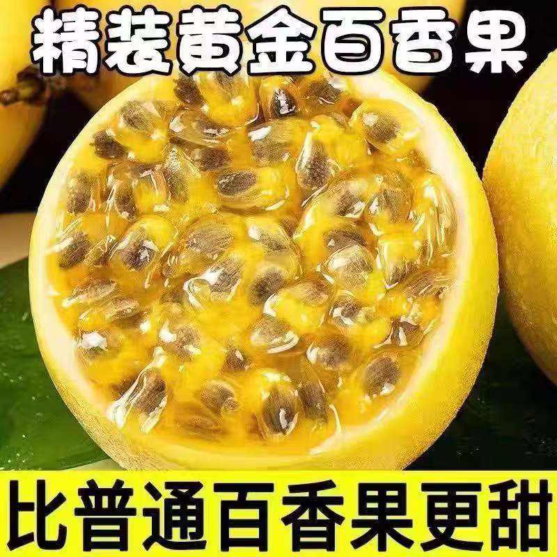 正宗钦蜜9号百香果爆甜不酸新鲜采摘树上自然熟礼盒装包邮 16粒大果豪华手提礼盒装 老农亲选大果:单果70-90g