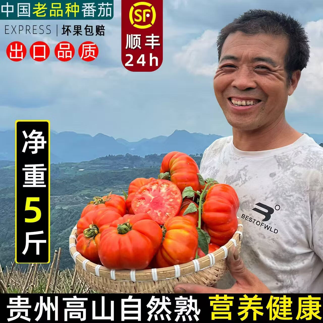 贵州露天马蹄番茄老品种沙瓤自然熟宝宝辅食现摘顺丰包邮 5斤大果(100克以上)普通礼盒装 5斤