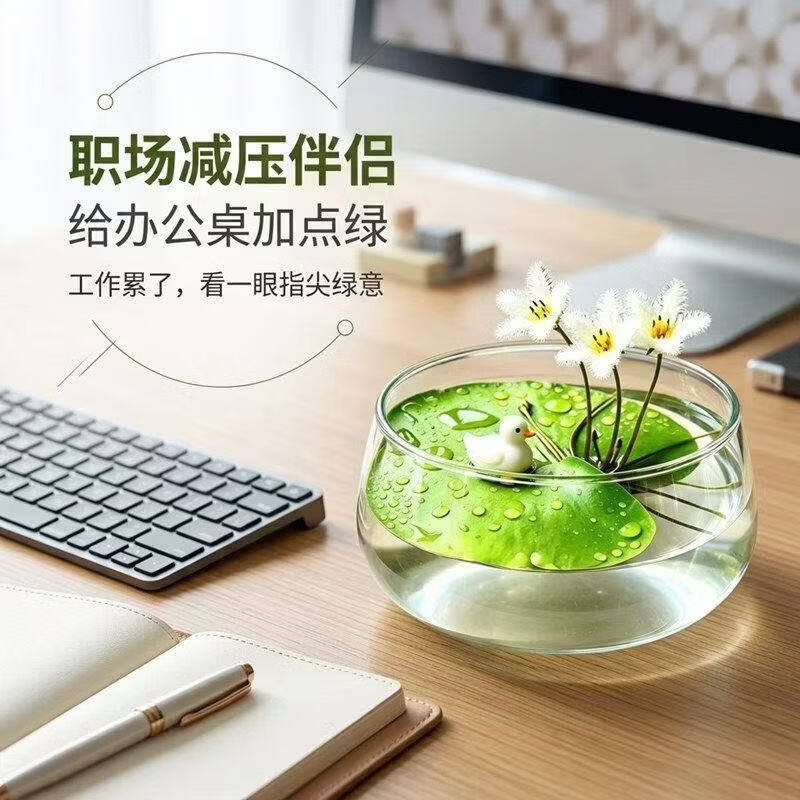 【花仙子】一叶莲水培无土好养办公室桌面鱼缸造景治愈系绿植A 【带花苞】焦虑盆+一叶莲+小鸭了 【带花苞】