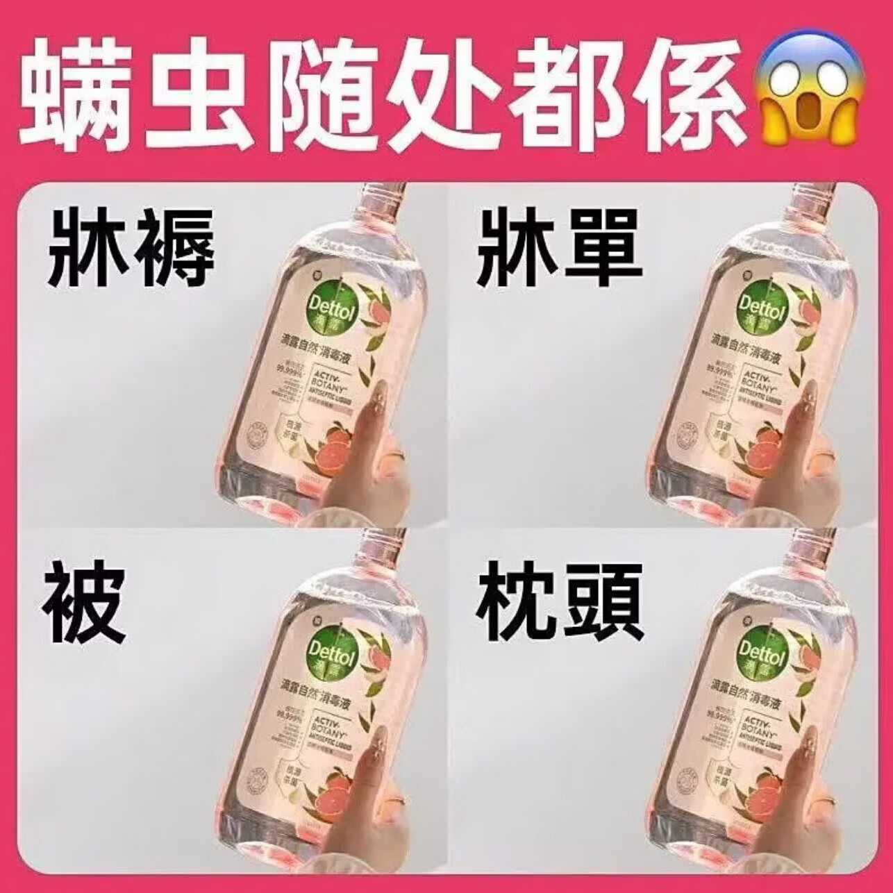 滴露(Dettol)滴露香氛自然消毒液衣物除菌液儿童洗衣母婴杀菌除螨除臭剂消毒水 滴露自然香氛消毒液 1L* 二瓶