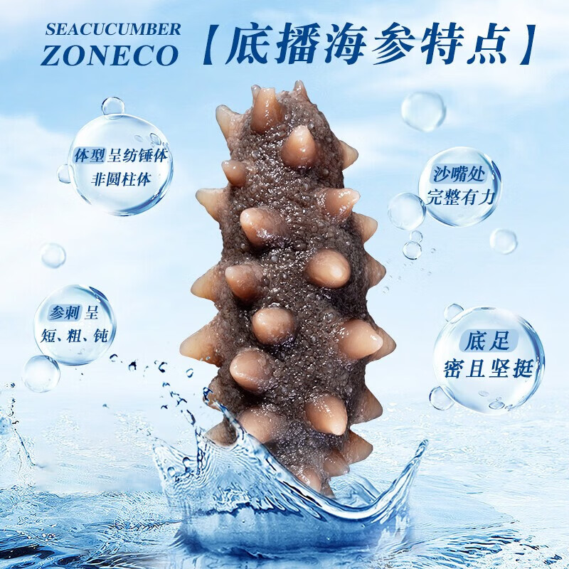 獐子岛参冬冬即食海参【买1送1斤即食】大连底播辽刺参冷冻特价 即食海参 1200g 31-40头【10.17过期】+赠500g即食
