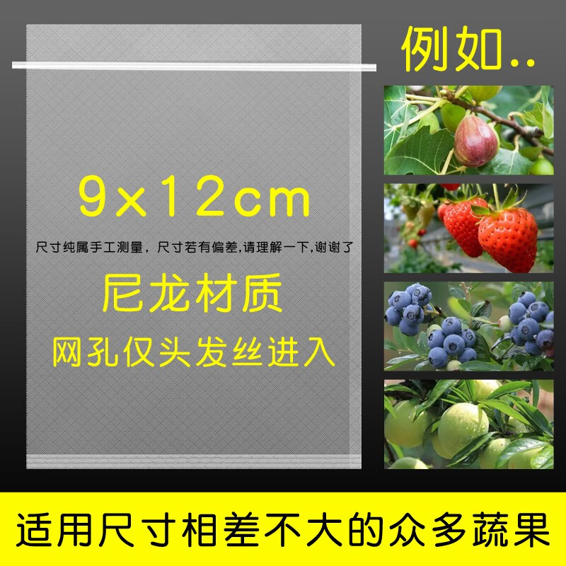 日锵水果套袋防鸟防虫专用网袋葡萄无花果枇杷芒果苹果袋草莓 9x12cm