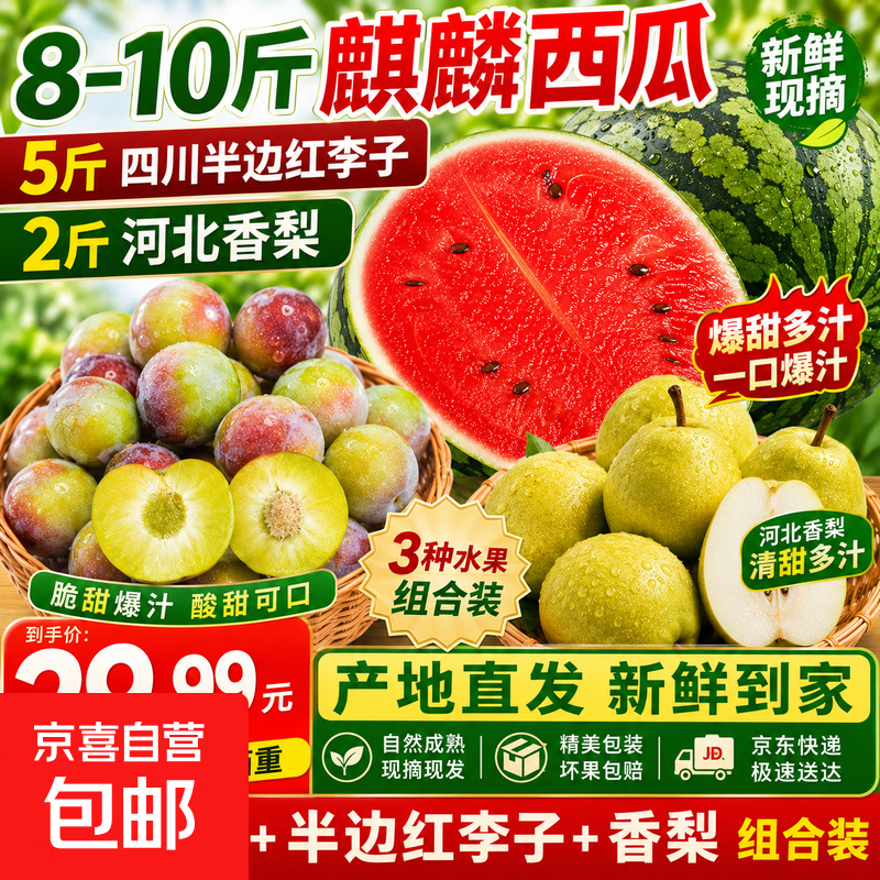 京喜加正宗河北香梨新梨7号特级新鲜水果梨子当季脆甜多汁-2026新pop 15-17斤带箱重：2斤香梨+赠品8-10斤西瓜+赠品5斤李子
