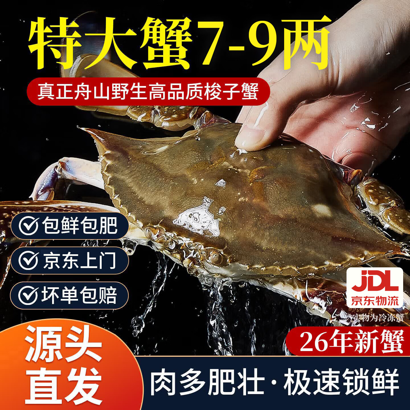 【冷冻】昌鲜园舟山梭子蟹鲜活冷冻7-9两/只 5斤装 26年新蟹源头直发包邮