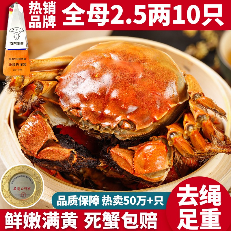 【活蟹】蟹爵大闸蟹鲜活螃蟹 现货生鲜河蟹实物水产礼盒 全母2.5-2.8两10只使用感如何?