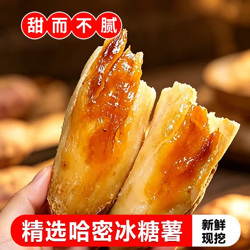 莎凰正宗哈密白薯 精选地瓜农家自种软糯无丝新鲜现挖河南产地直发 带箱5斤【3两以上】中大果