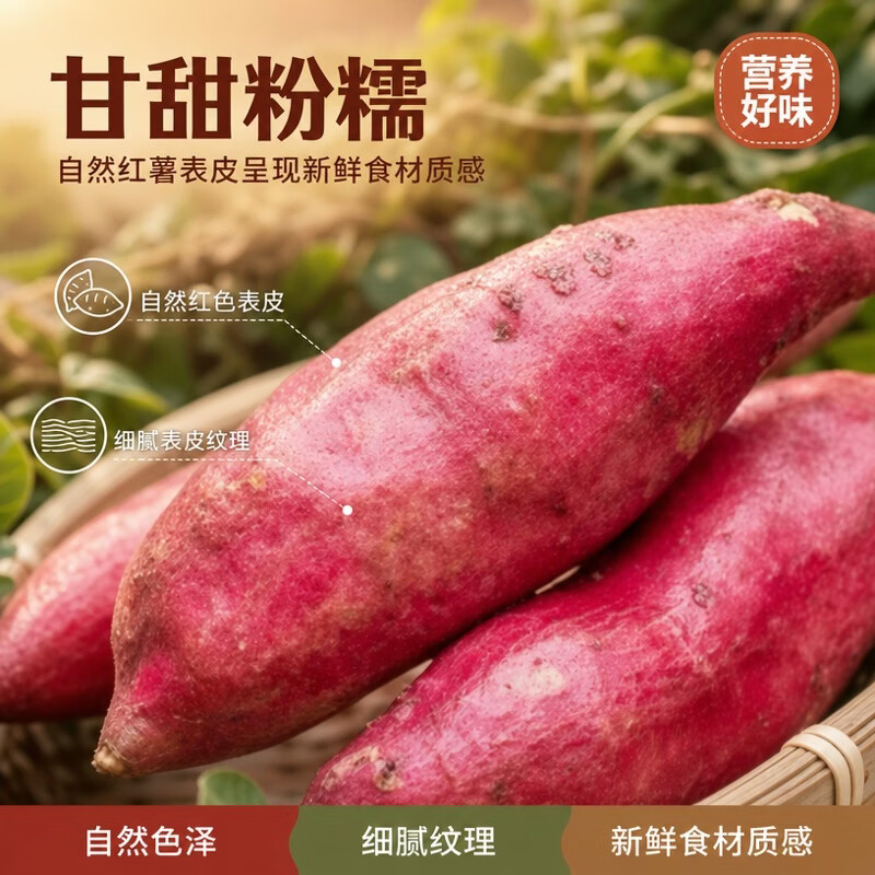 泰鲜岛26新鲜现挖沙土地陕西板栗红薯黄心番薯粉糯干甜新鲜蔬菜应季生鲜 陕西板栗红薯【精品果】 热销>5斤装【带箱】