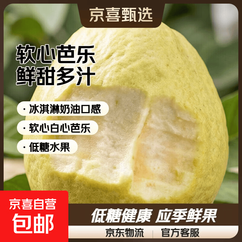 京喜加广东白心软心芭乐冰淇淋奶油口感番石榴应季当季大果新鲜低糖水果 软心白心芭乐5斤带箱净重4.8斤