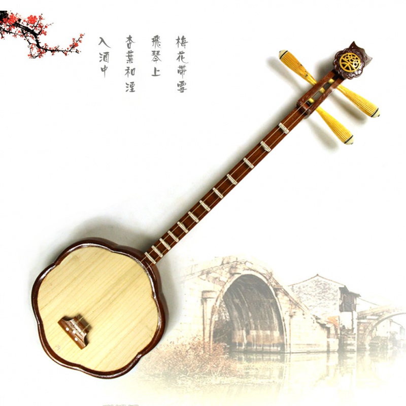 木质丝弦乐器图片