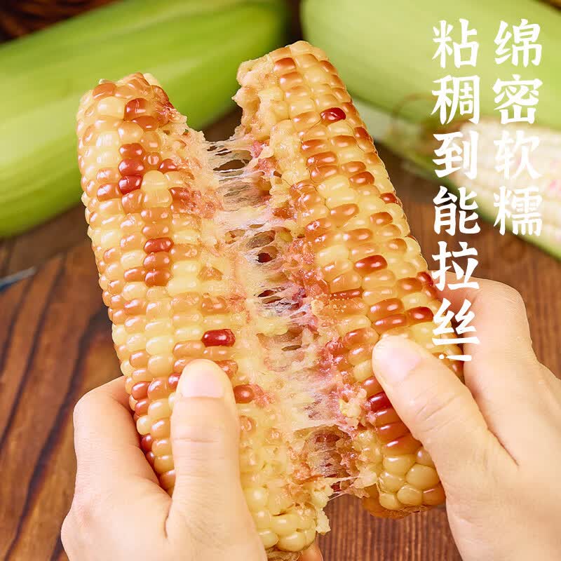 隆平 鲜食甜糯玉米棒 非转基因独立真空包装早餐杂粮低脂 【超值性价比】云南花糯玉米3.2斤