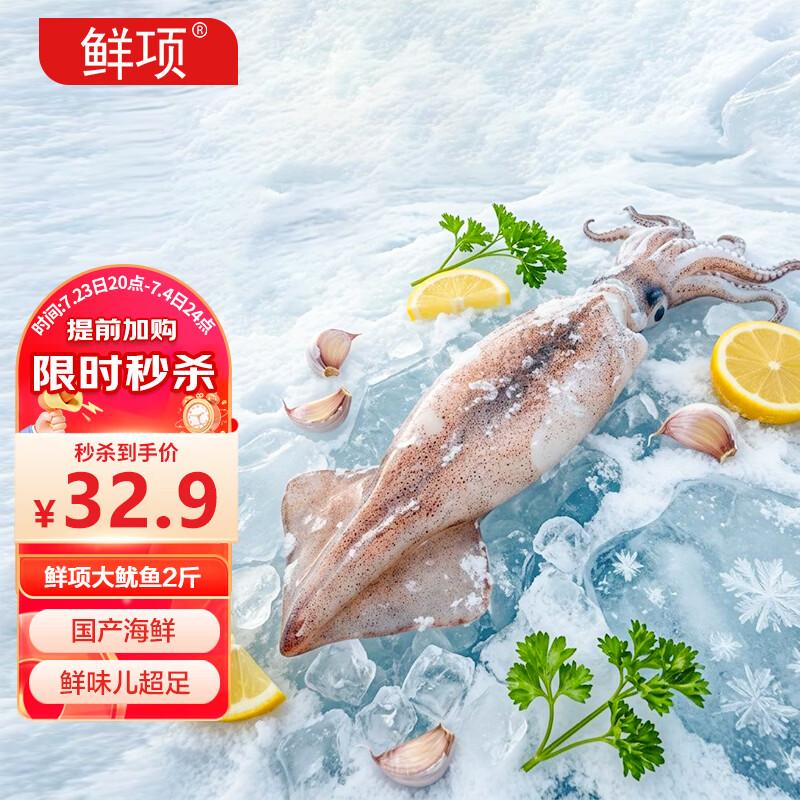 鲜项鲜冻大鱿鱼2-4条净重1.2斤 铁板鱿鱼火锅烧烤食材 海鲜生鲜送礼