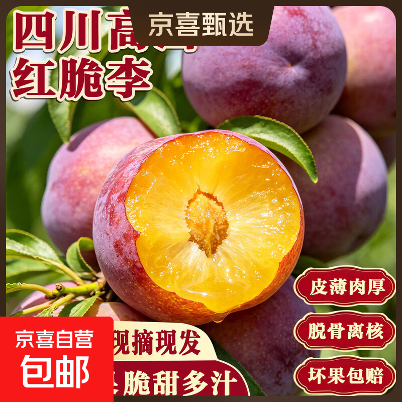 四川脆甜青脆李半边红新鲜现摘树上熟脱骨李新鲜孕妇水果 5斤整箱带箱（净重4.5斤） SS+级商超果王蕞甜口感