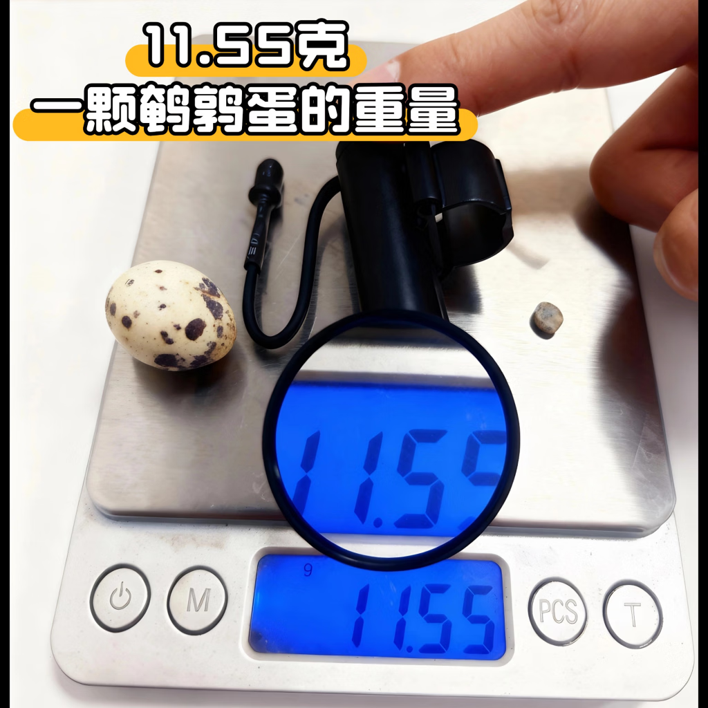 USB可充电聚光专业采耳灯拇指灯手指灯采耳超亮手电筒掏耳朵可视 圆形黑色 USB充电【一档灯】
