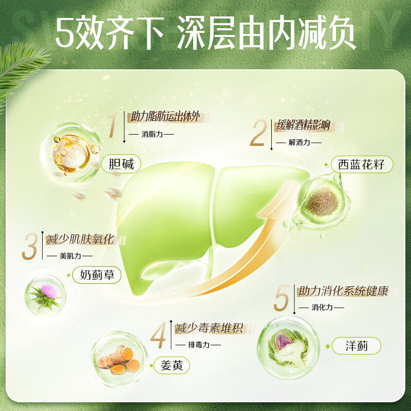 Swisse澳洲护肝片胆碱女性男士奶蓟草护肝片熬夜水飞蓟 【呵护卵巢】月见草油胶囊200粒