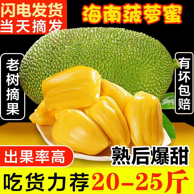 禧友鲜海南菠萝蜜整个新鲜水果黄肉干苞现摘大树木蜜菠萝热带特产波罗蜜 20-25斤（很软很香才能切开）