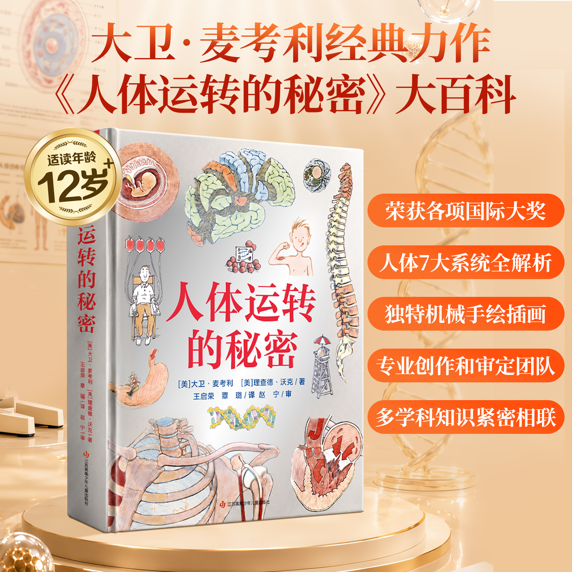 青葫芦 人体运转的秘密 少年儿童百科全书家庭医生健康营养书籍dk我们的身体的神秘肌肉器官医学免疫系统图解知识科普书课外阅读书 十万个为什么 中小学生版一二三四五六年级书籍7-12岁中国少儿科学启蒙 人
