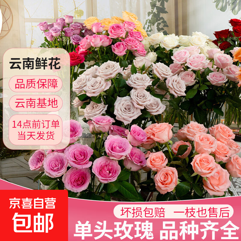 玫瑰鲜花云南基地直发居家水养插花礼物京东物流1 随机10枝玫瑰盲盒（40cm起）