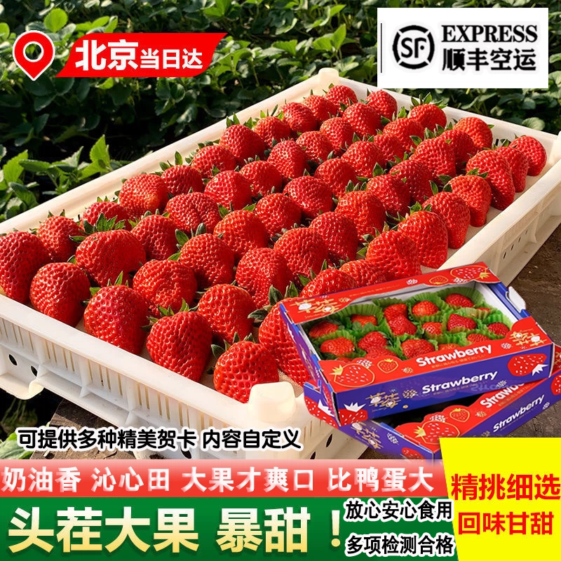新鲜99草莓九九甜牛奶草莓礼盒大果新鲜红颜久久奶油孕妇水果当季 280g 净重/盒/九九甜奶油草莓/泡沫箱冷藏发货 果王/单果40g+-50g 更大更甜/鸭蛋大小/5-6颗盒280g
