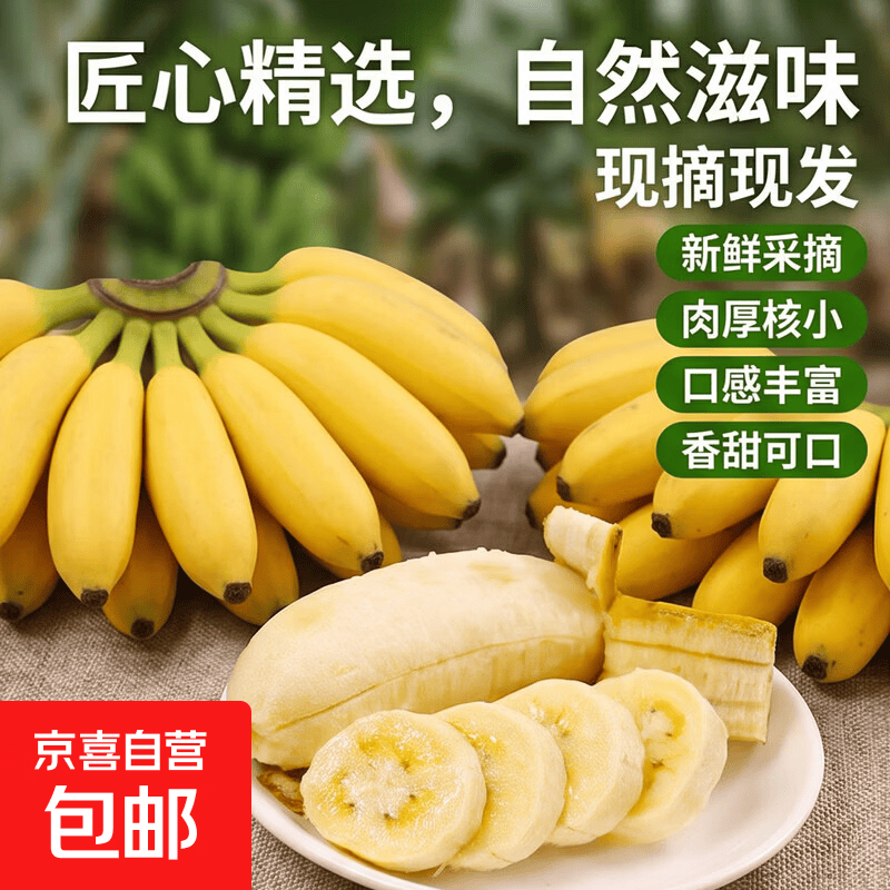 京喜加广西小米蕉自然熟酸甜香蕉正宗新鲜水果小芭蕉苹果蕉自然熟当季 带箱9斤
