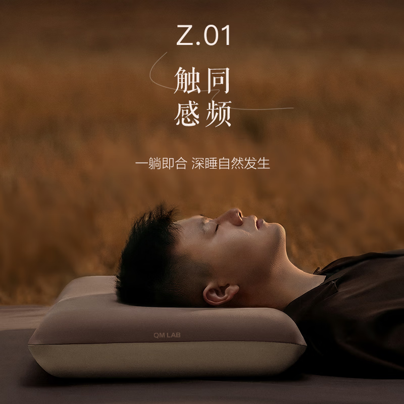 曲美感官实验室（QM LAB）深睡枕护颈椎侧睡记忆棉枕头枕芯睡眠枕礼盒装 Z01深睡枕  8cm