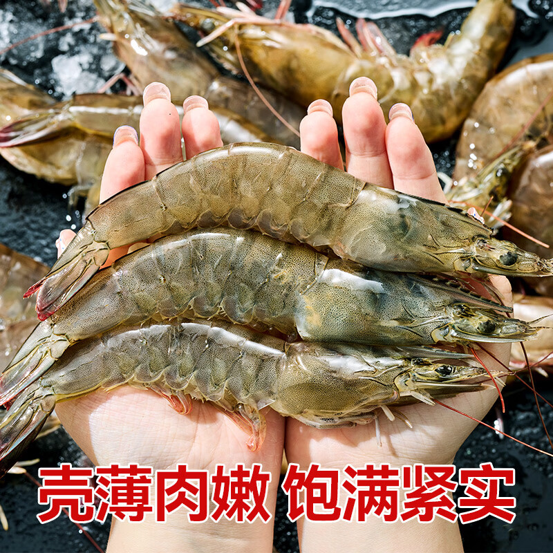 兆华虾青岛大虾基围虾鲜活青虾白虾对虾冷冻生鲜虾类 新鲜活冻海鲜 1500g*1盒【活虾速冻】 3斤(净重) 海捕大虾40/50【常规号】