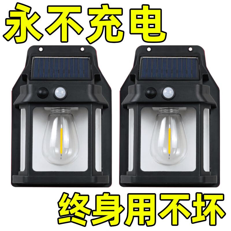 太阳能照明灯户外庭院灯天黑自动亮家用农村用防水防晒人体感应灯 一个装
