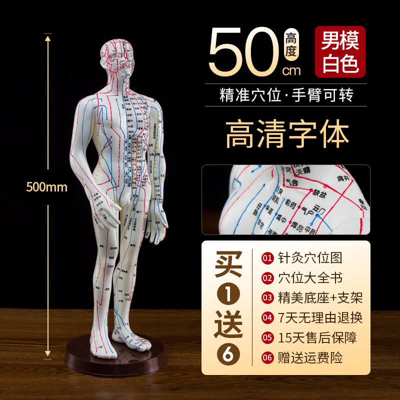 针灸穴位人体模型中医教学全身高清经络图人模硅胶推拿小皮人扎针
