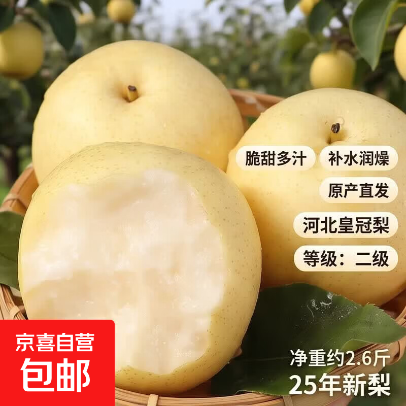 25年新梨河北皇冠梨产地直发脆甜多汁梨子小花皮远达活动专享 皇冠梨带箱3斤净重2.6斤单果150g