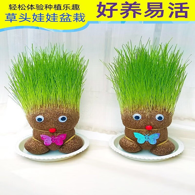 网络花盆花器商品历史价格查询|花盆花器价格走势图