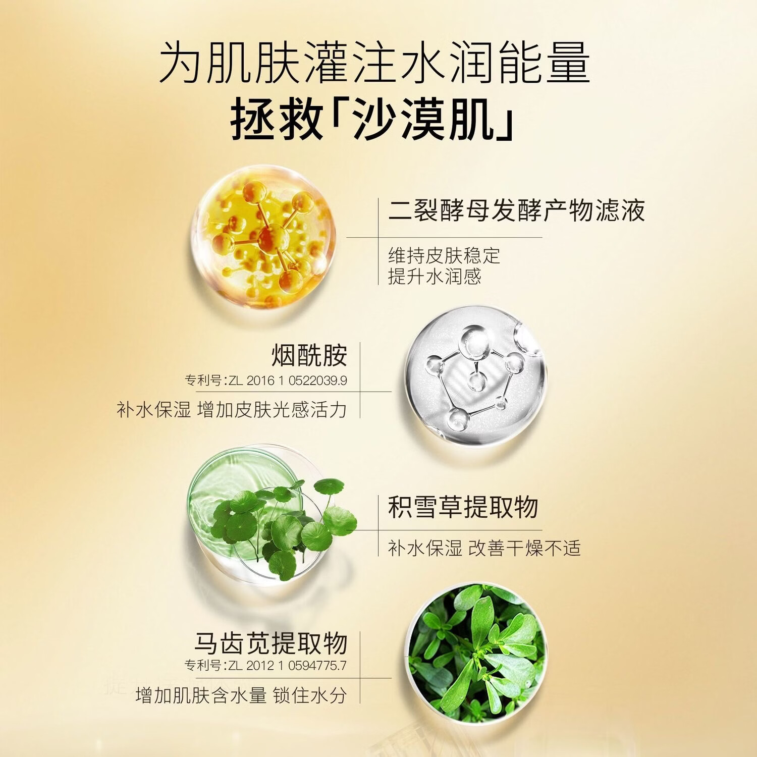 蓝秀臻颜焕采沁肌水爽肤水极光雪颜护肤品