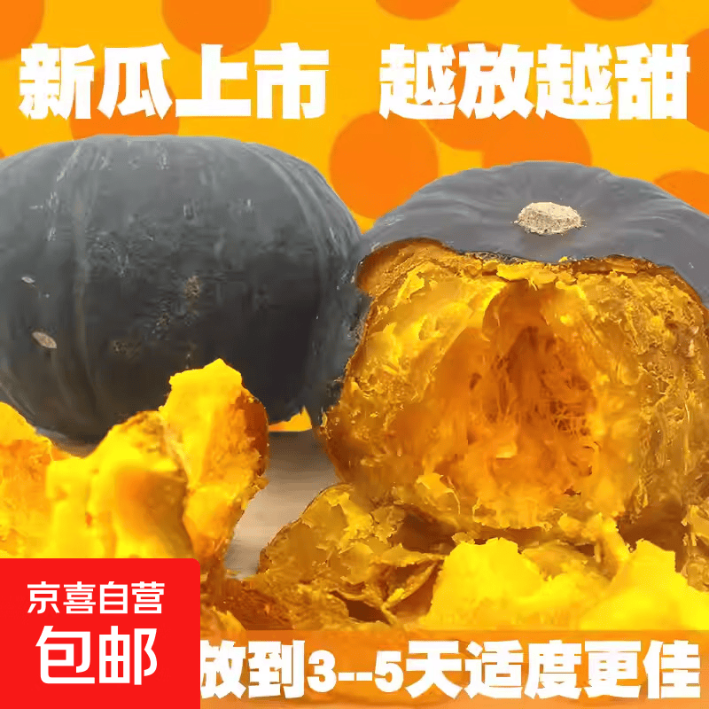 现摘贝贝南瓜正宗新鲜板栗味小南瓜栗面日本老瓜婴儿孕妇粉糯 贝贝南瓜净重4.5斤 5斤