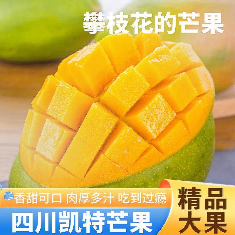 第九序攀枝花凯特芒新鲜水果香甜可口肉厚多汁大果现摘现发 9斤分享装[多人分享装-较划算]净8.5斤 A+级精选大果[单果300g+]甜