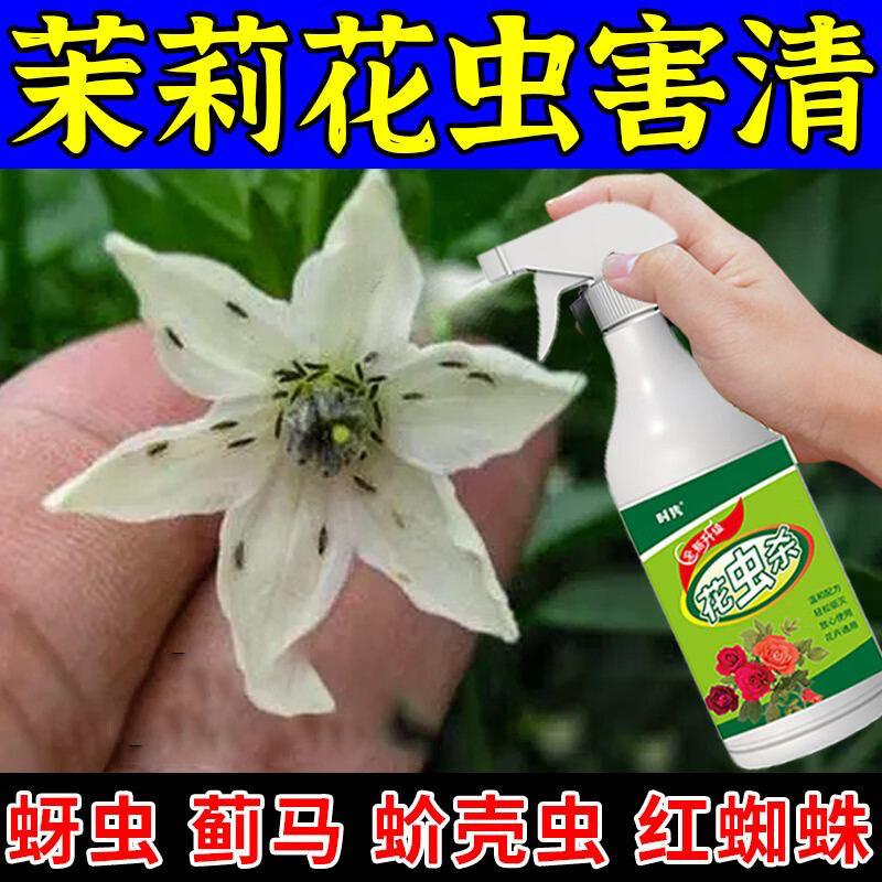 茉莉花专用营养液茉莉蚜虫蚧壳虫不伤花室内盆栽绿植花卉养花肥料 一