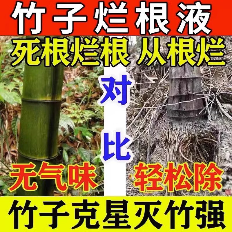 灭竹子专用烂竹根连强力除竹粉腐蚀竹根开荒地灌木杂草一扫光神器 买五桶发九桶【永不返青】