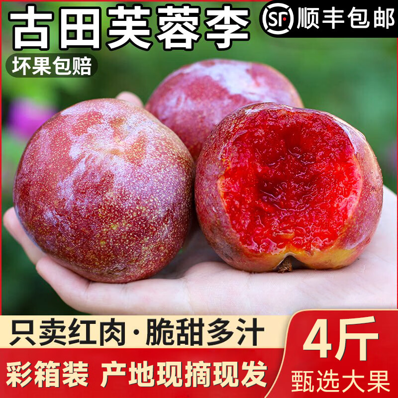 鲜珥家【顺丰发货】古田正宗红心芙蓉李大果4斤装当天现摘现发产地直发 古田芙蓉李大果 单果50-70g【4斤彩箱装】