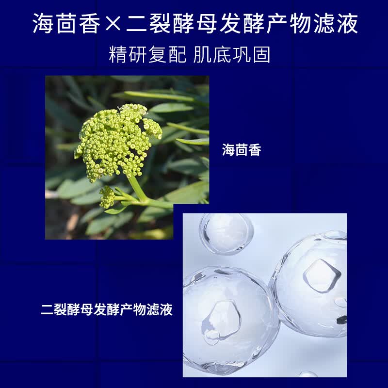 肌肤未来熬夜光感弹润面霜修护男女士清爽保湿补水提亮肤色护肤品节日送礼 【囤货】熬夜面霜15g*3