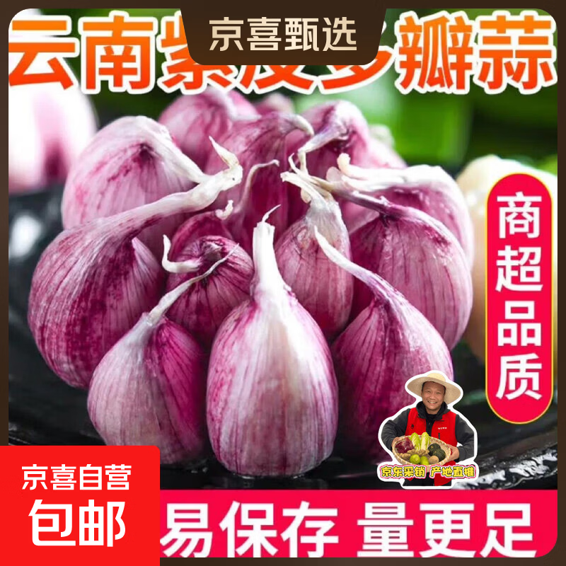 新鲜干蒜水果大蒜超市即食大蒜三文鱼小龙虾烧烤食材大蒜 5头装100g 4cm+