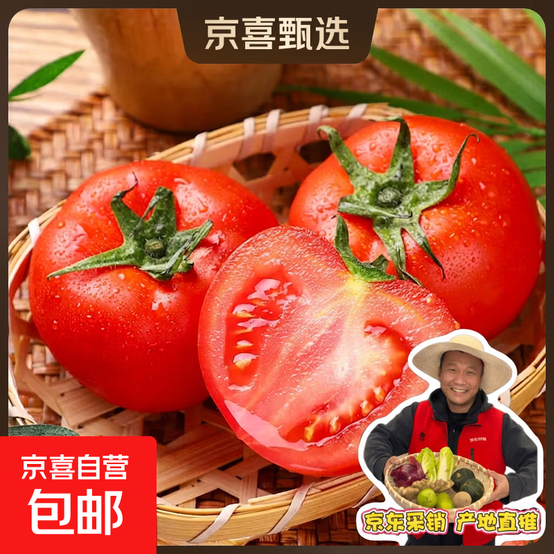 攀枝花粉瓤西红柿生吃水果番茄新鲜蔬菜中果单果80g 粉瓤西红柿 带箱 2斤 试吃装