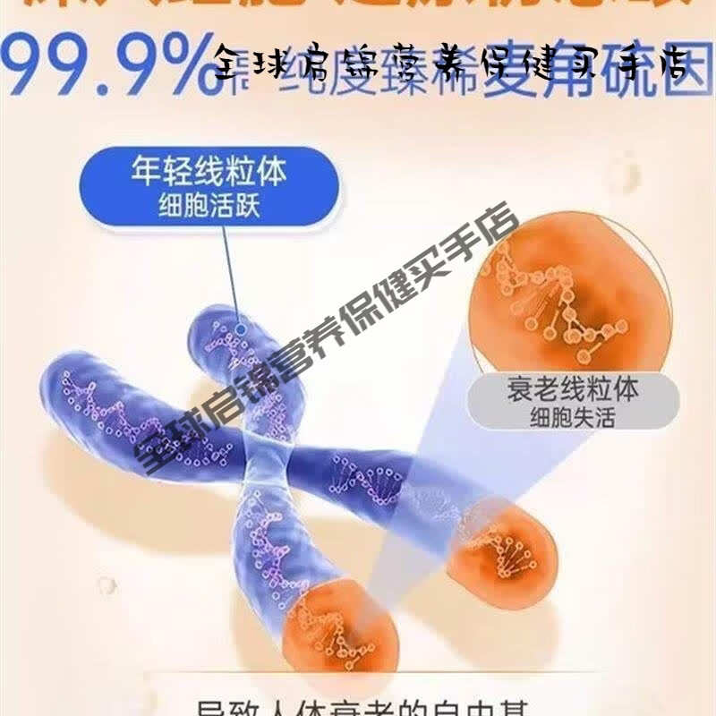 NYO3诺威佳挪威护眼润眼叶黄素成人麦角硫因口服驻颜升级亮眼胶囊 1盒 【一周期】 60粒*3盒