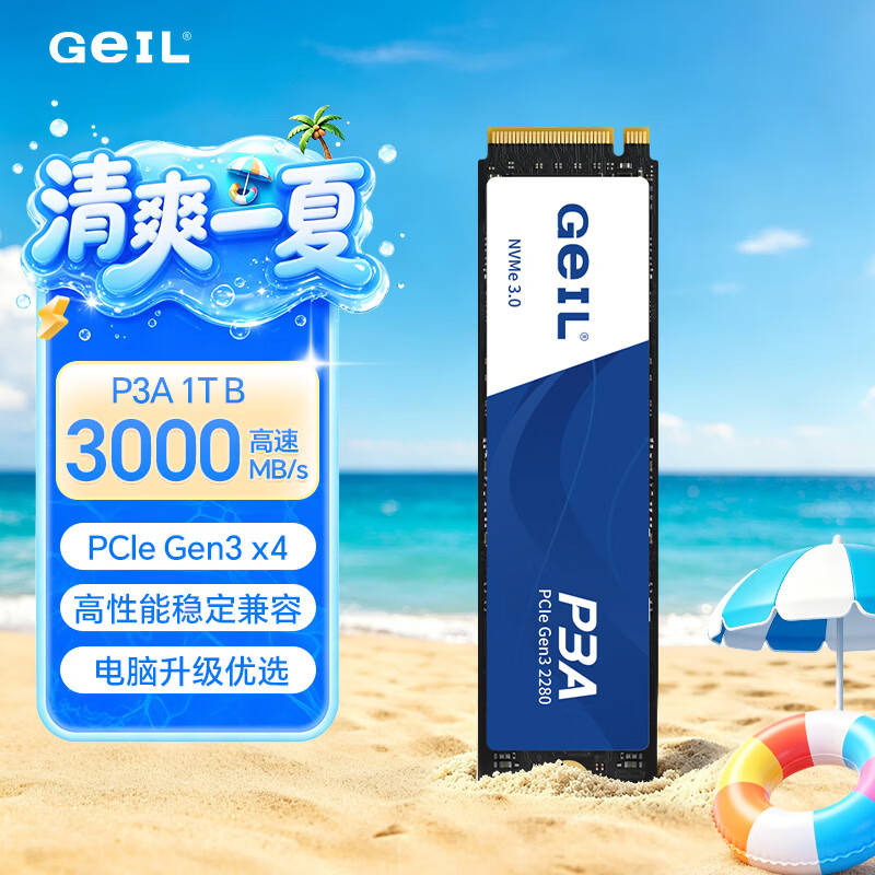 GEIL金邦 1TB SSD固态硬盘 M.2接口PCIe 3.0（NVMe协议）台式机笔记本硬盘  高速3000MB/S P3A系列
